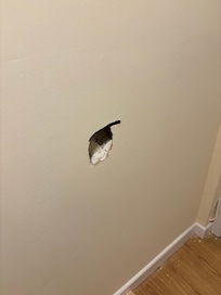 Hole in the plaster board