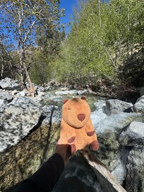 Travel buddy approved.