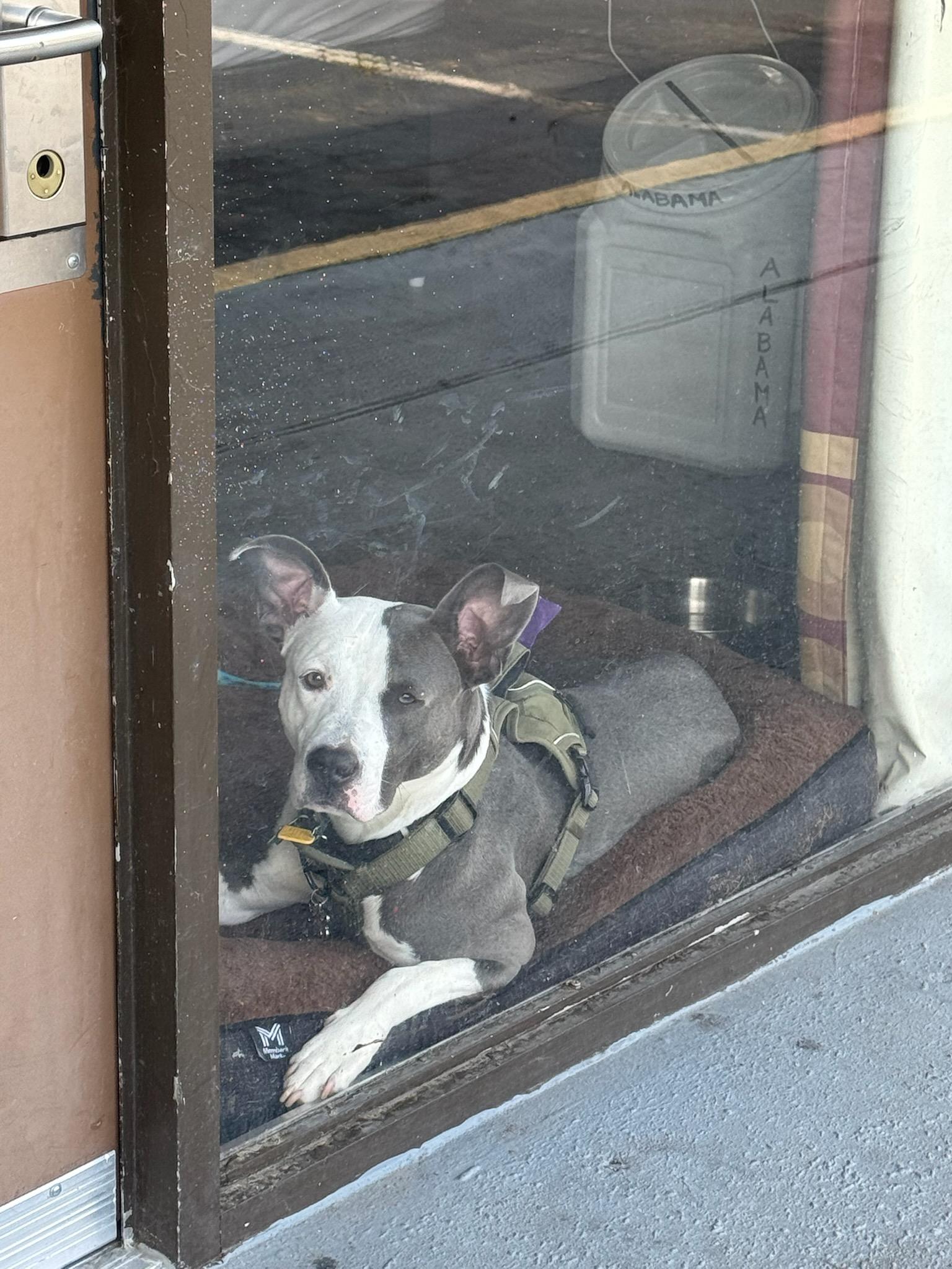 My Neighbor