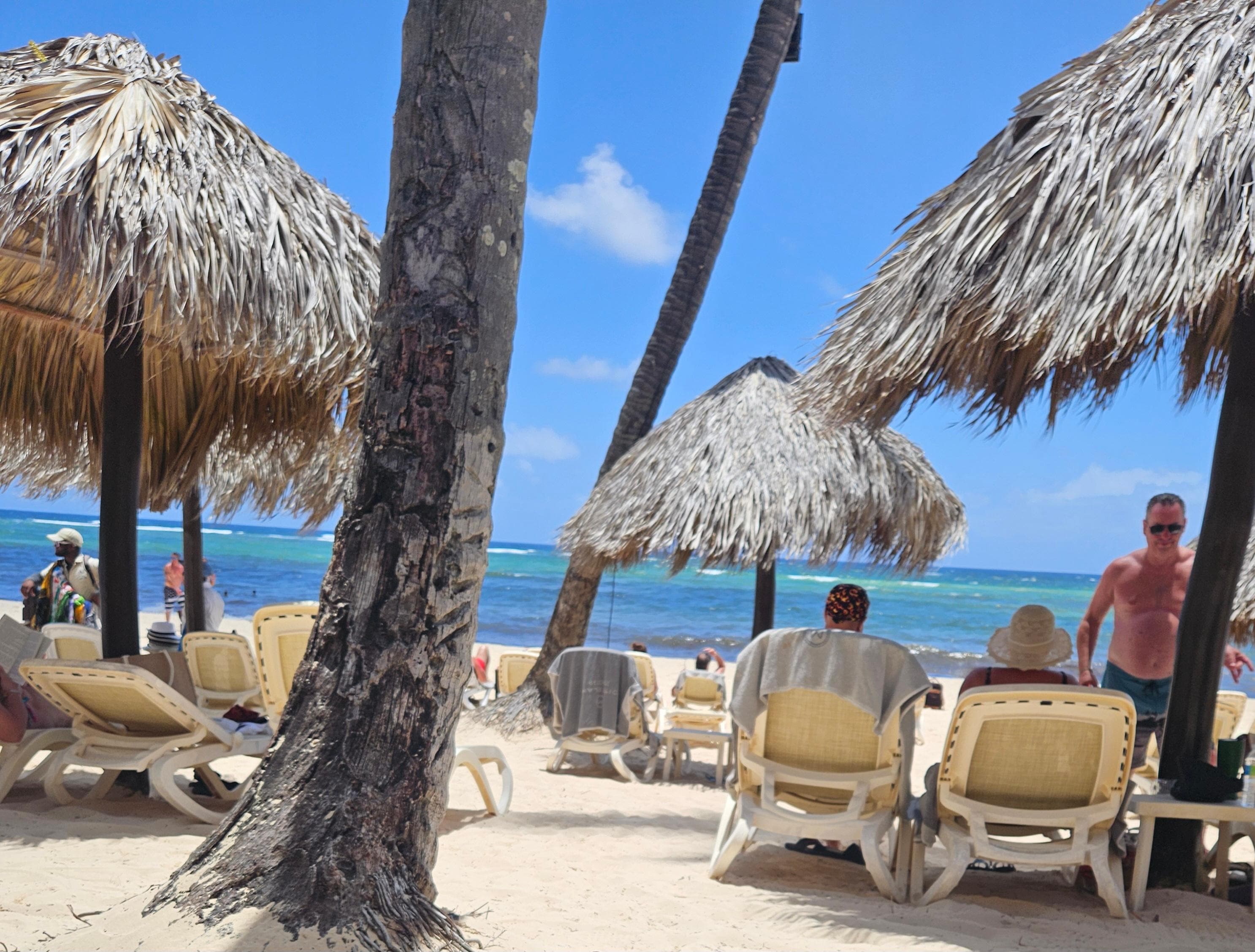 Plenty of shaded loungers on the beach.