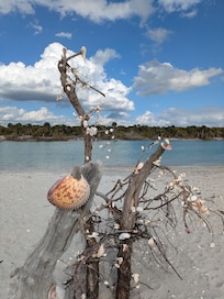 Art in nature