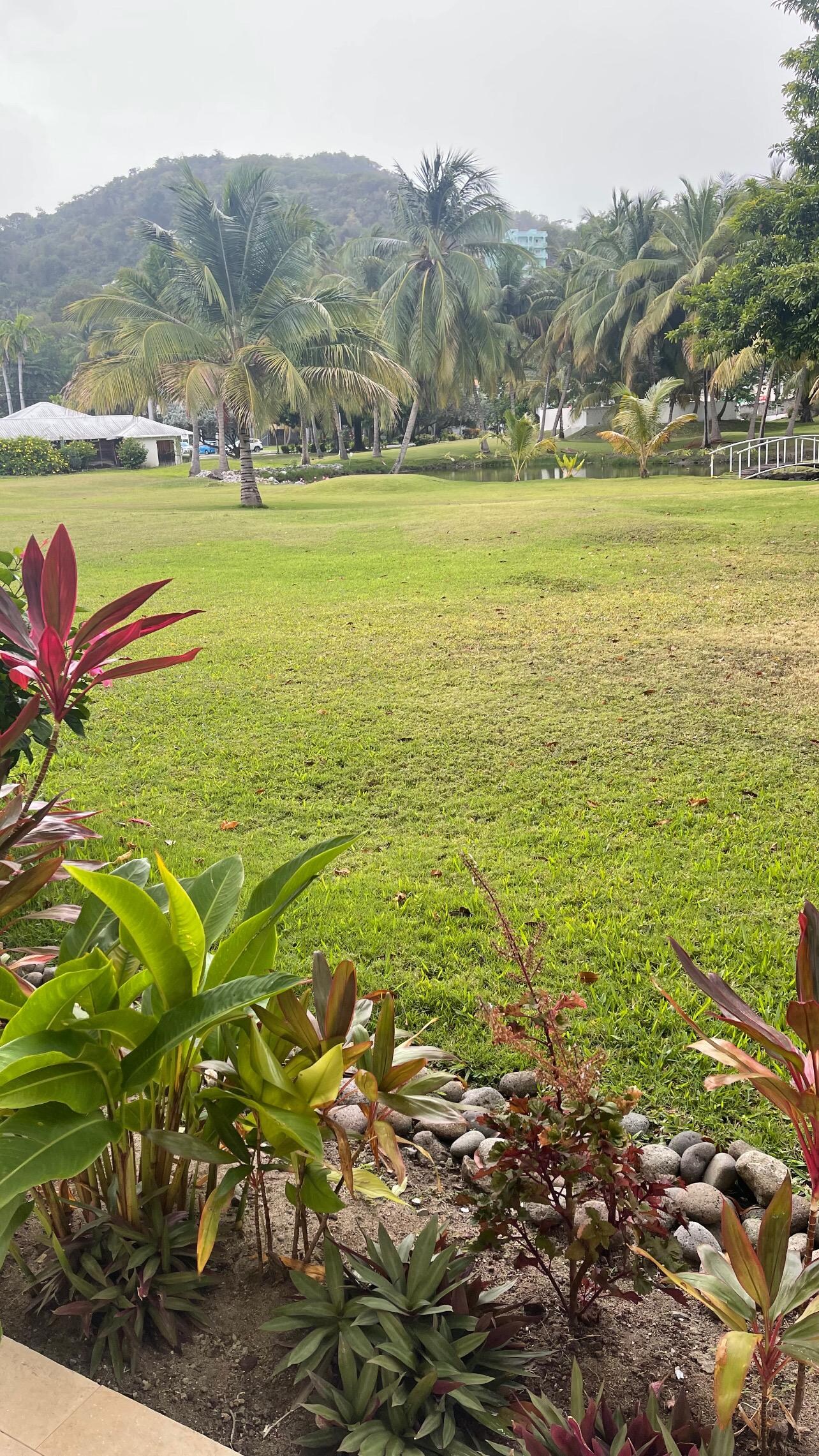 Front view from our room