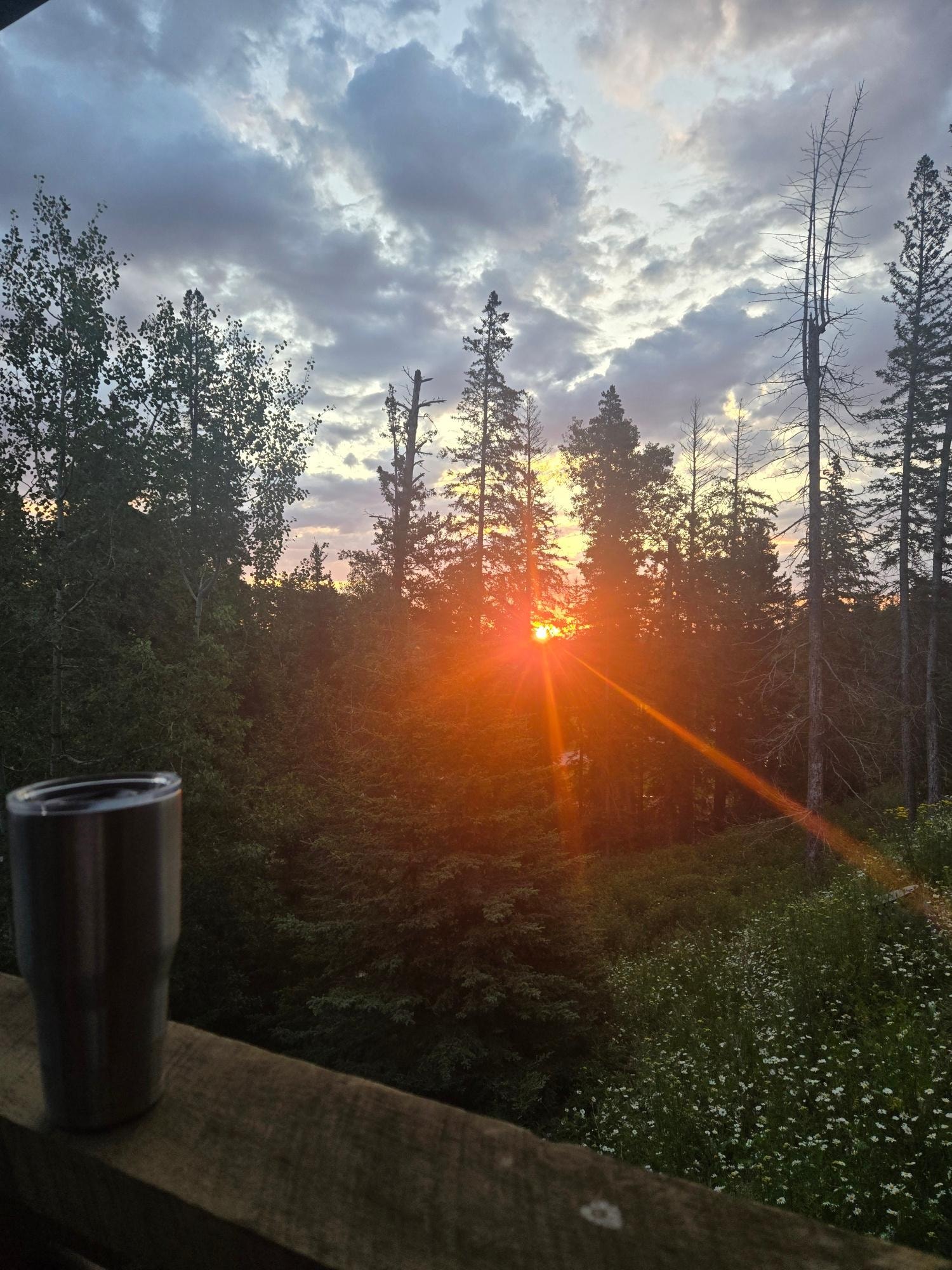 Sunrise from the deck. 