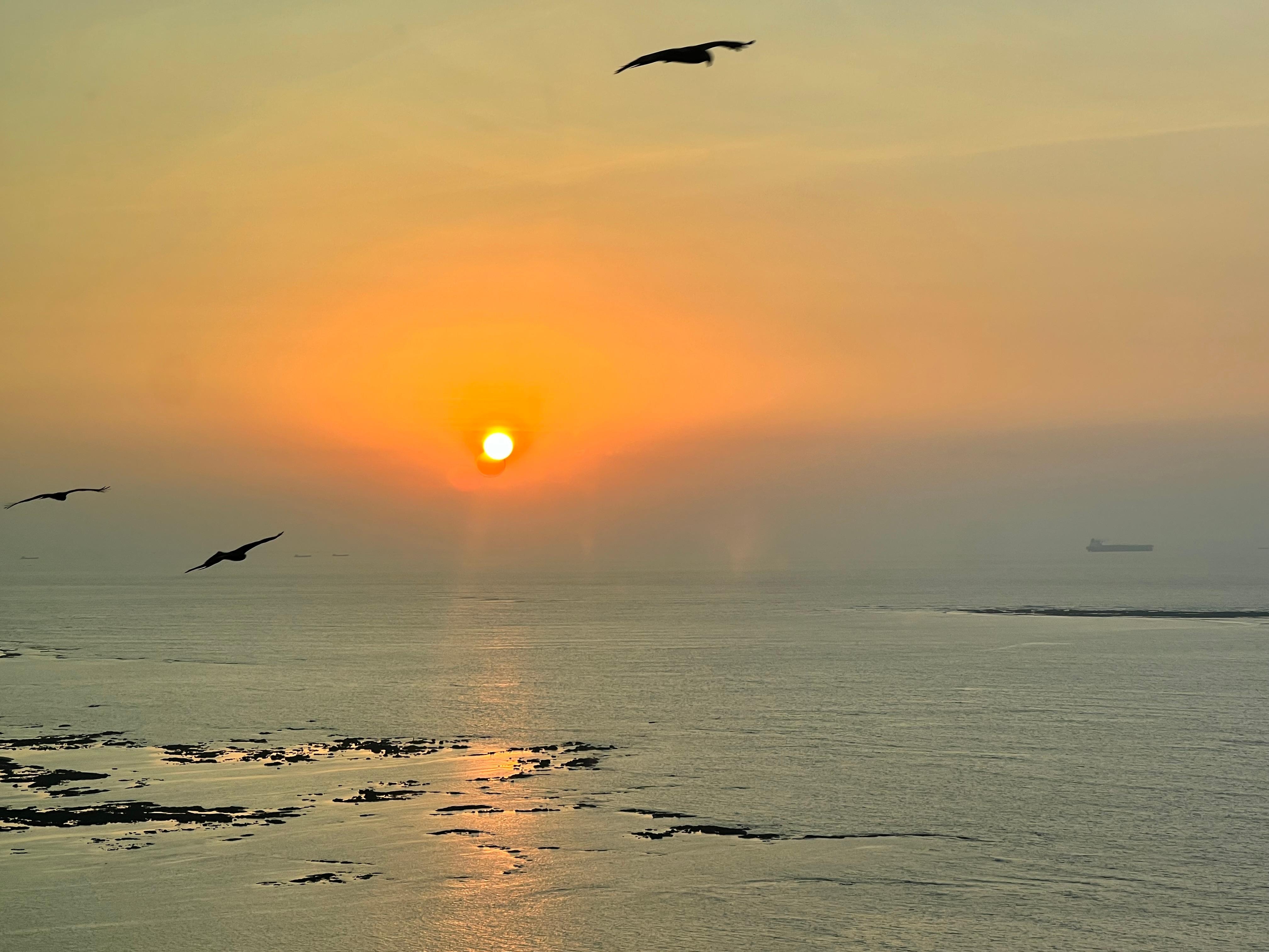 From my window at the Trident. Sunset. 