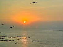 From my window at the Trident. Sunset.