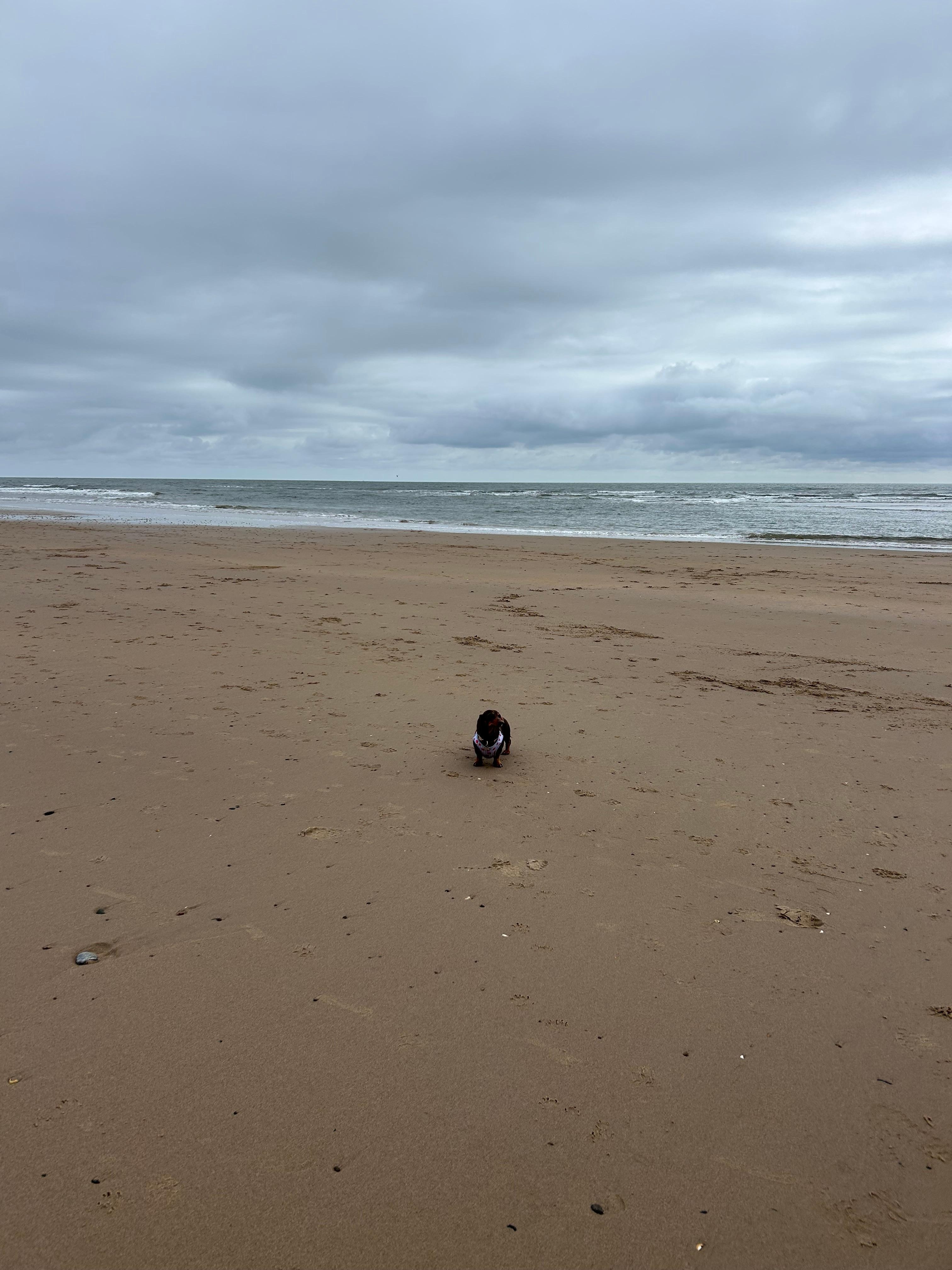 Beach close by