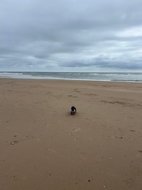 Beach close by
