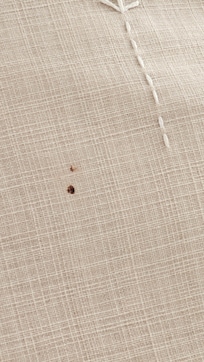 Blutglecken auf dem Kissenbezug