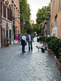 Via margutta