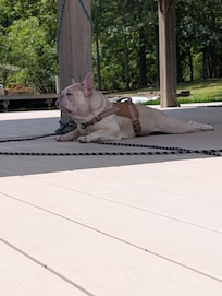 Pier provided shade as well