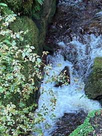 Dollar Glen