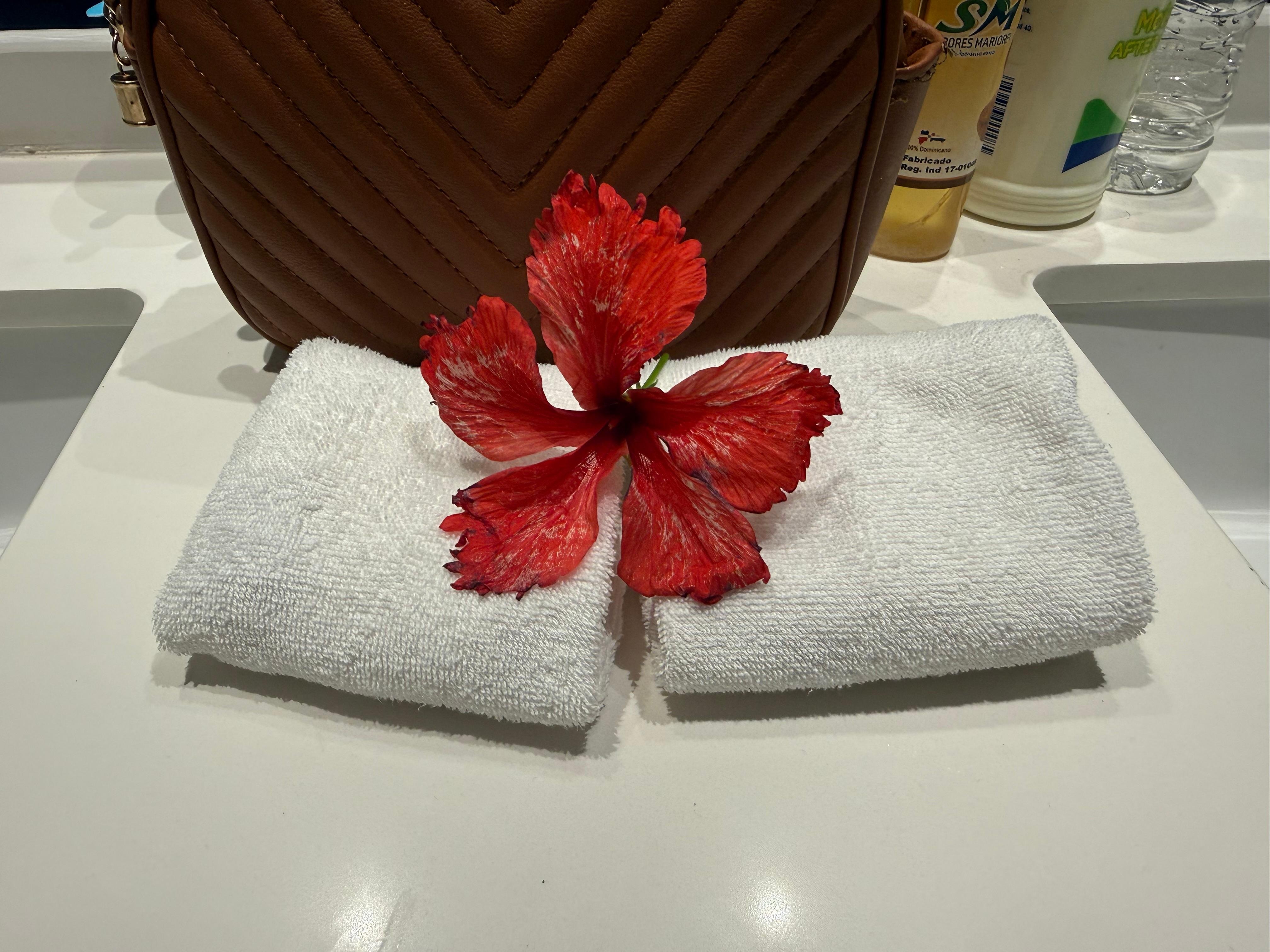 Amazing housekeeping staff!