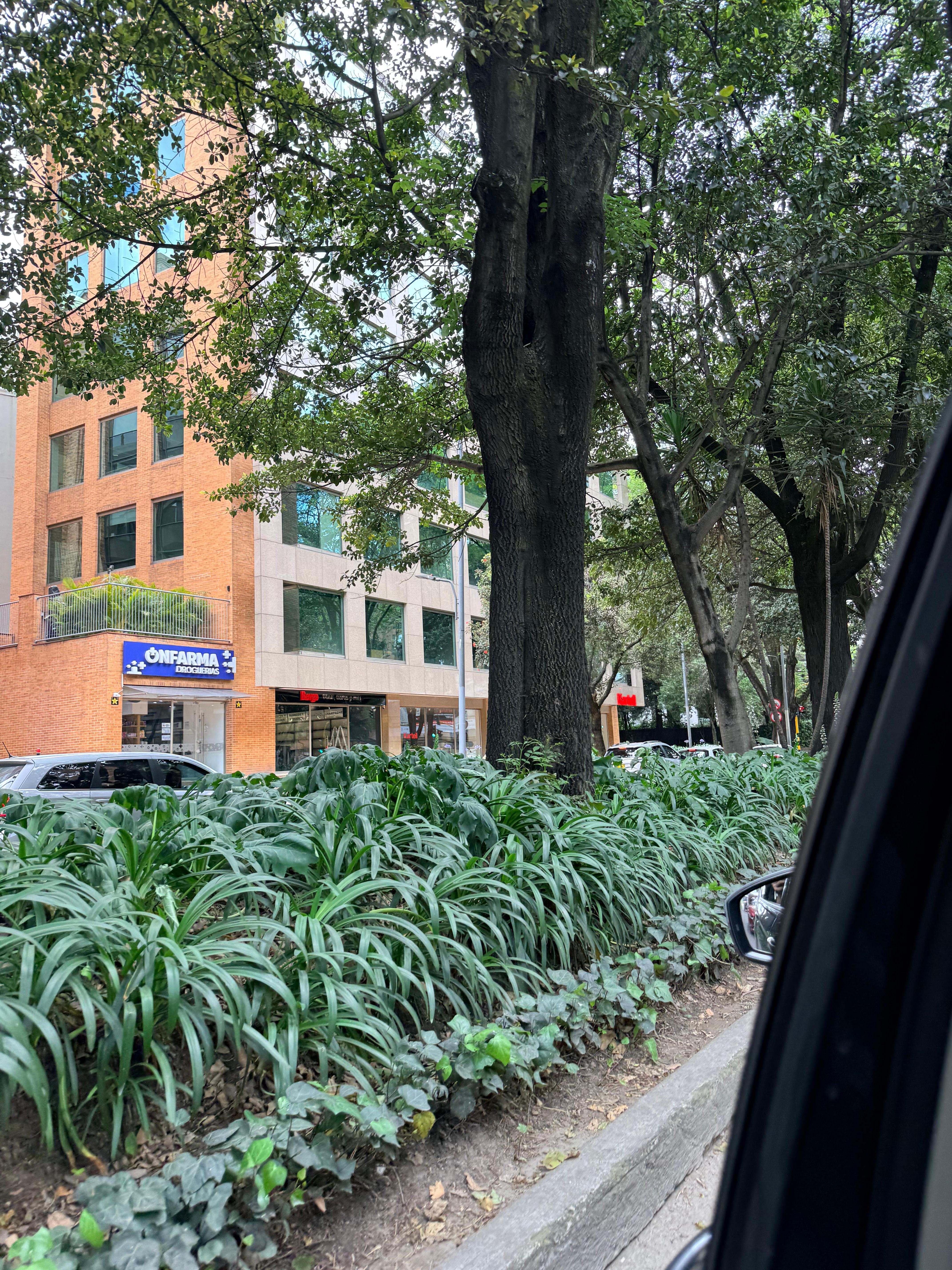 Neighborhood is neat