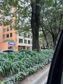 Neighborhood is neat