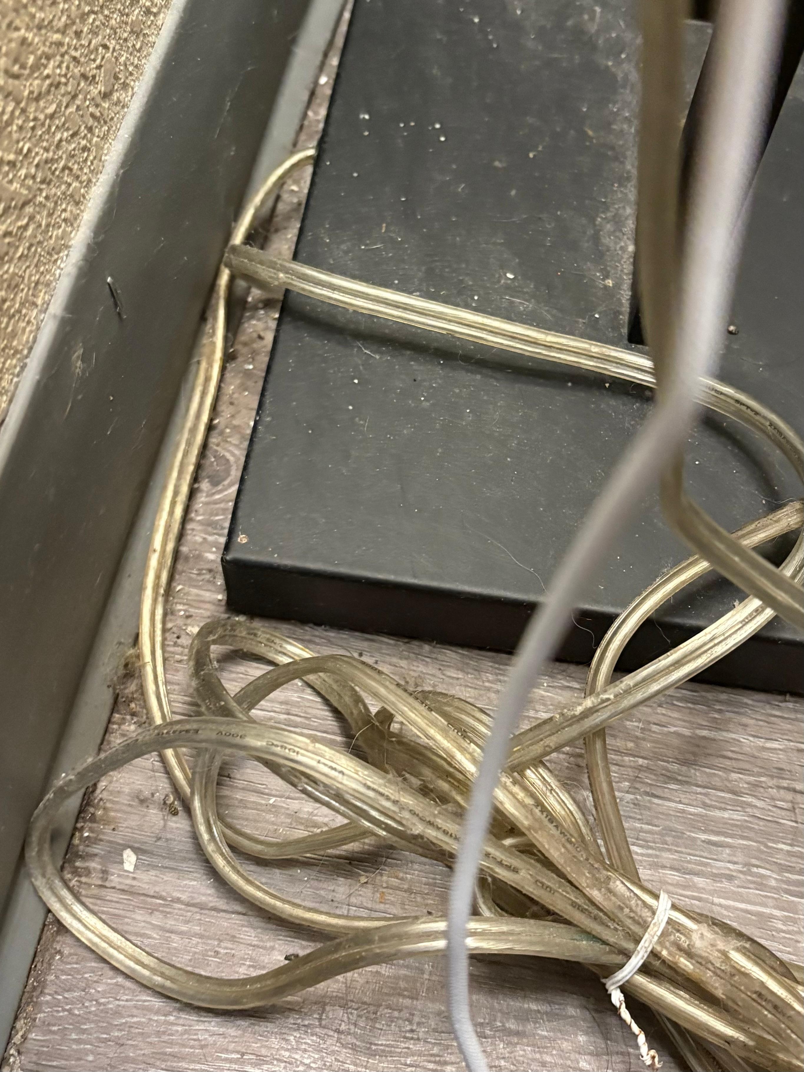 Has not been vacuumed or mopped in a LONG time!