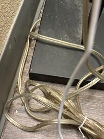 Has not been vacuumed or mopped in a LONG time!