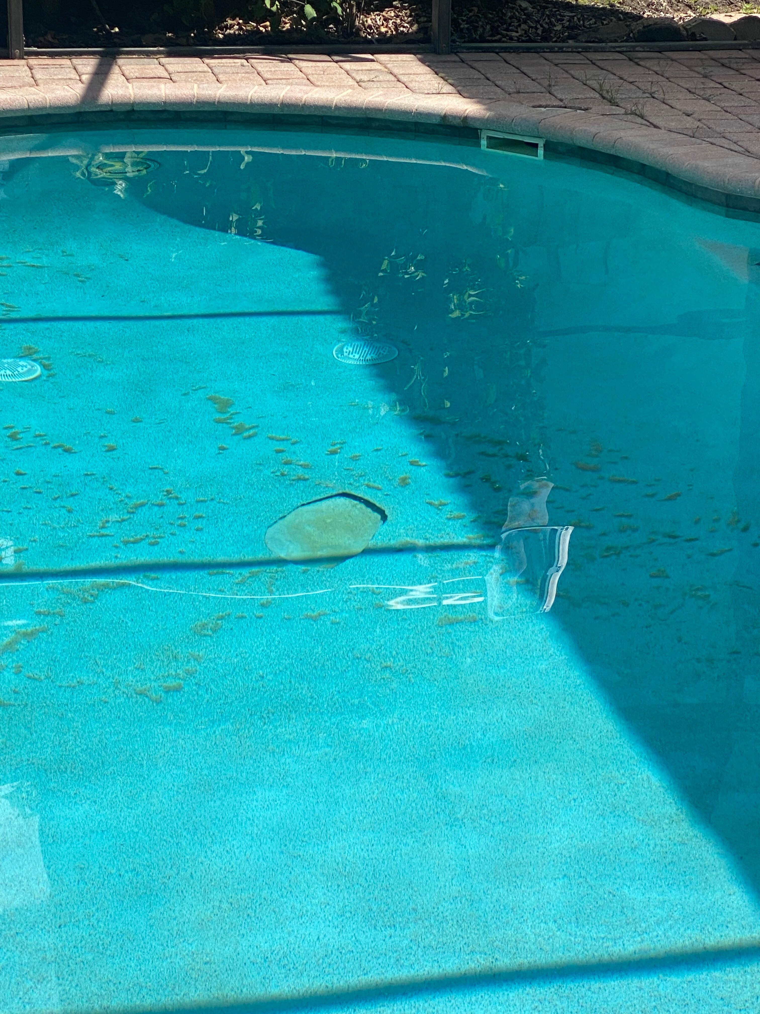 Filthy pool and damage 