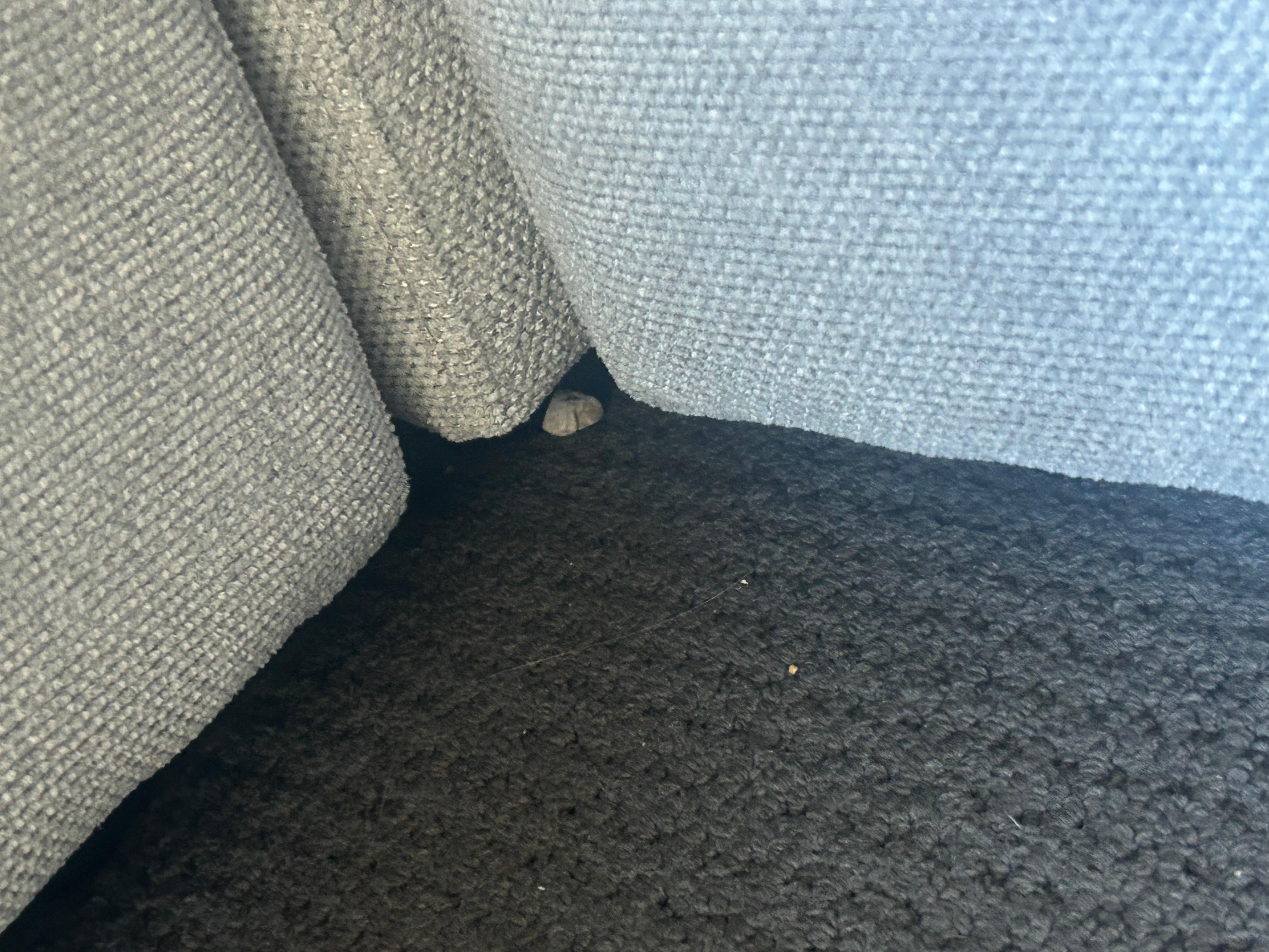 Rocks under lounge area