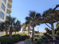 The condo grounds.