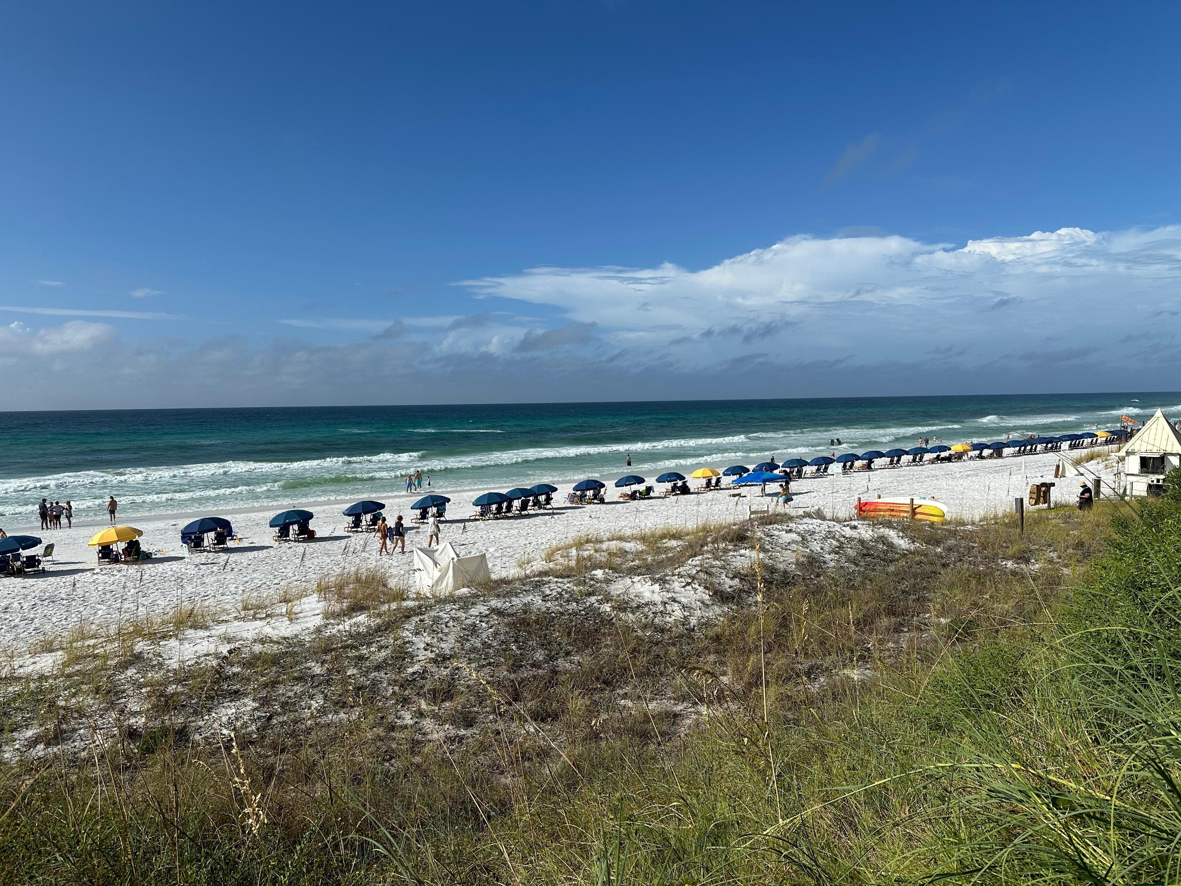 Umbrellas and chairs on the beach