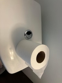 Toilet flusher in disrepair