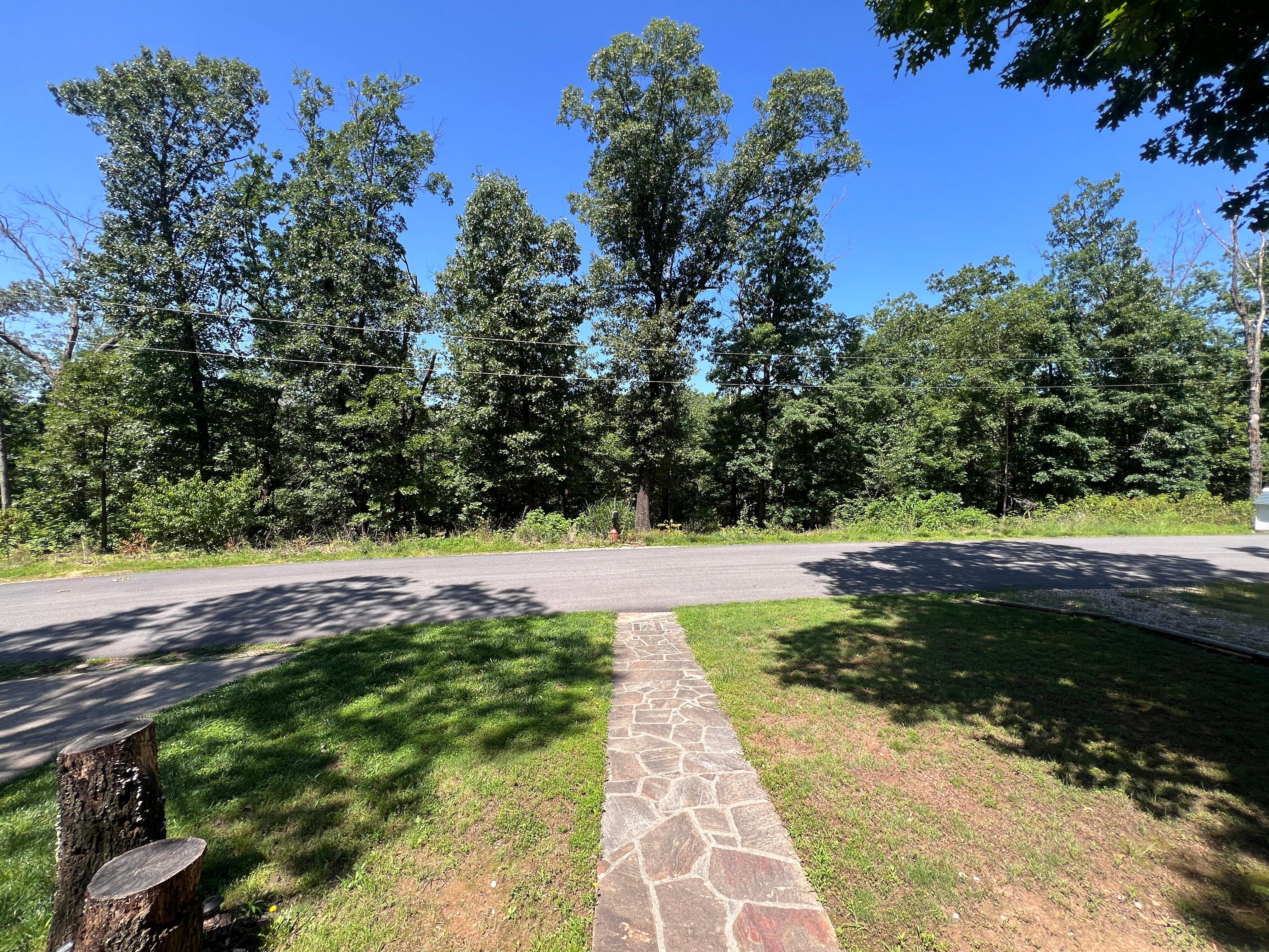 Sidewalk from front porch. 