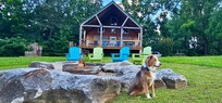 Pet Friendly!