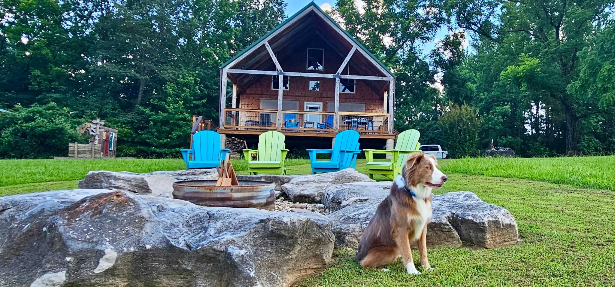 Pet Friendly!