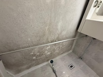 Black mold on bathroom celing