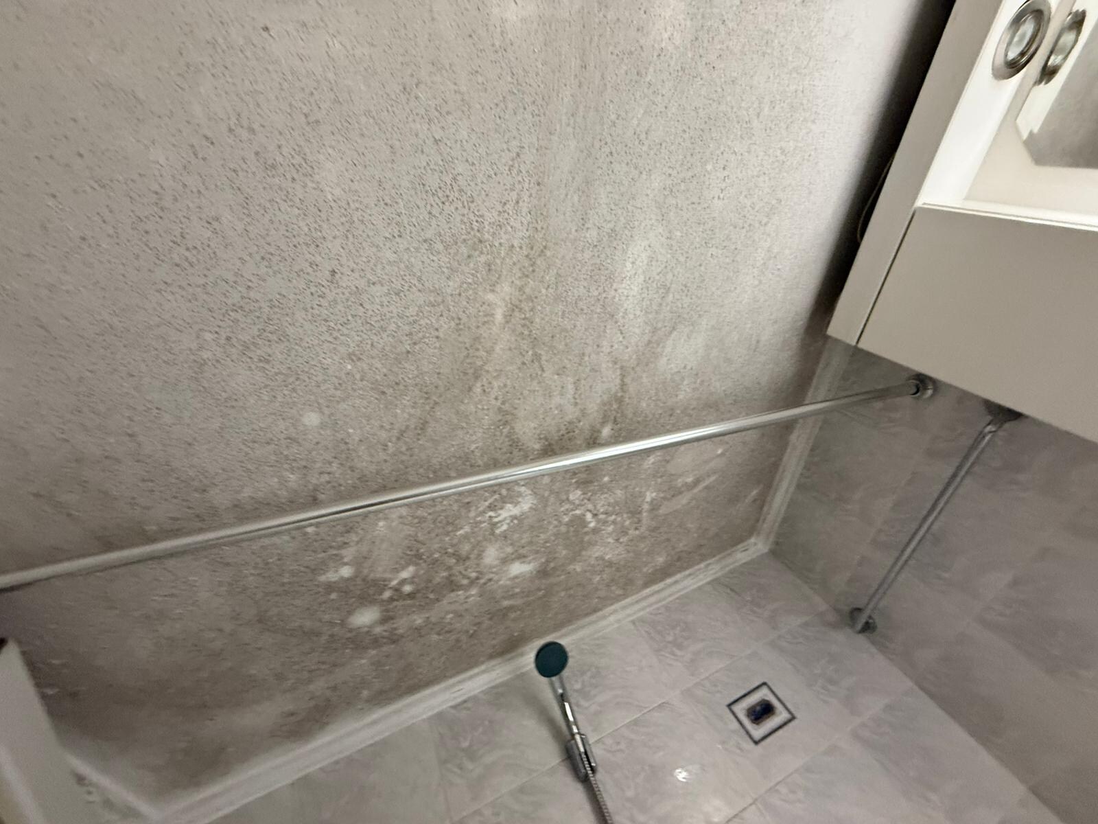 Black mold on bathroom celing