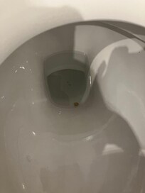Reste in der Toilette, nicht geputzter Toilettendeckel