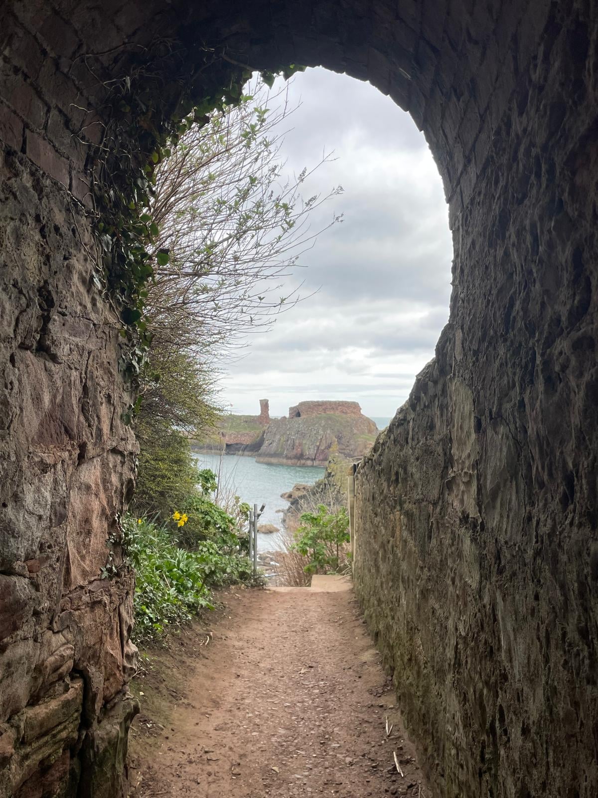 Make a wish as you walk through 