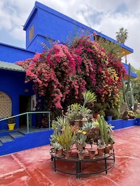 Jardin majorel
