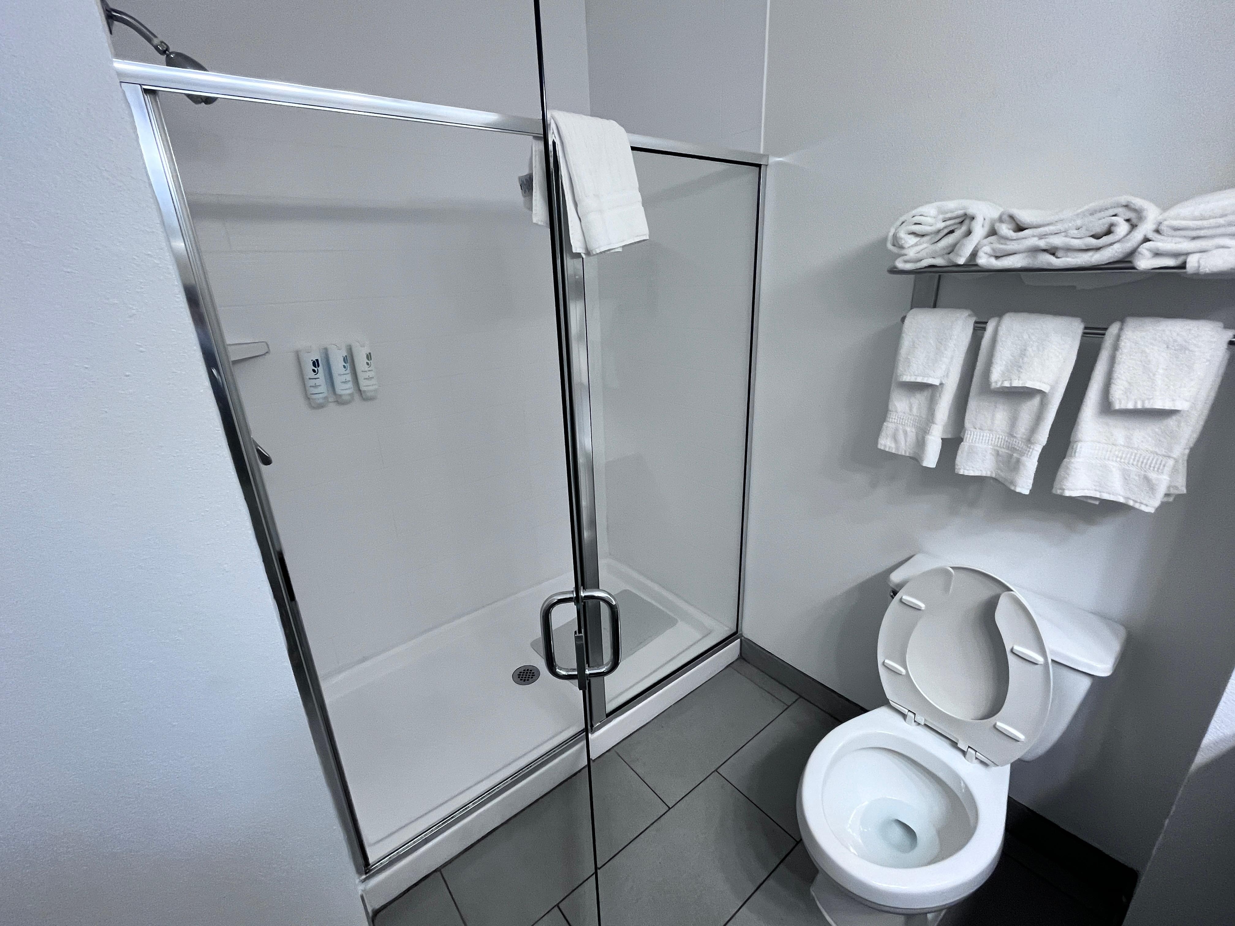 Large walk-in shower