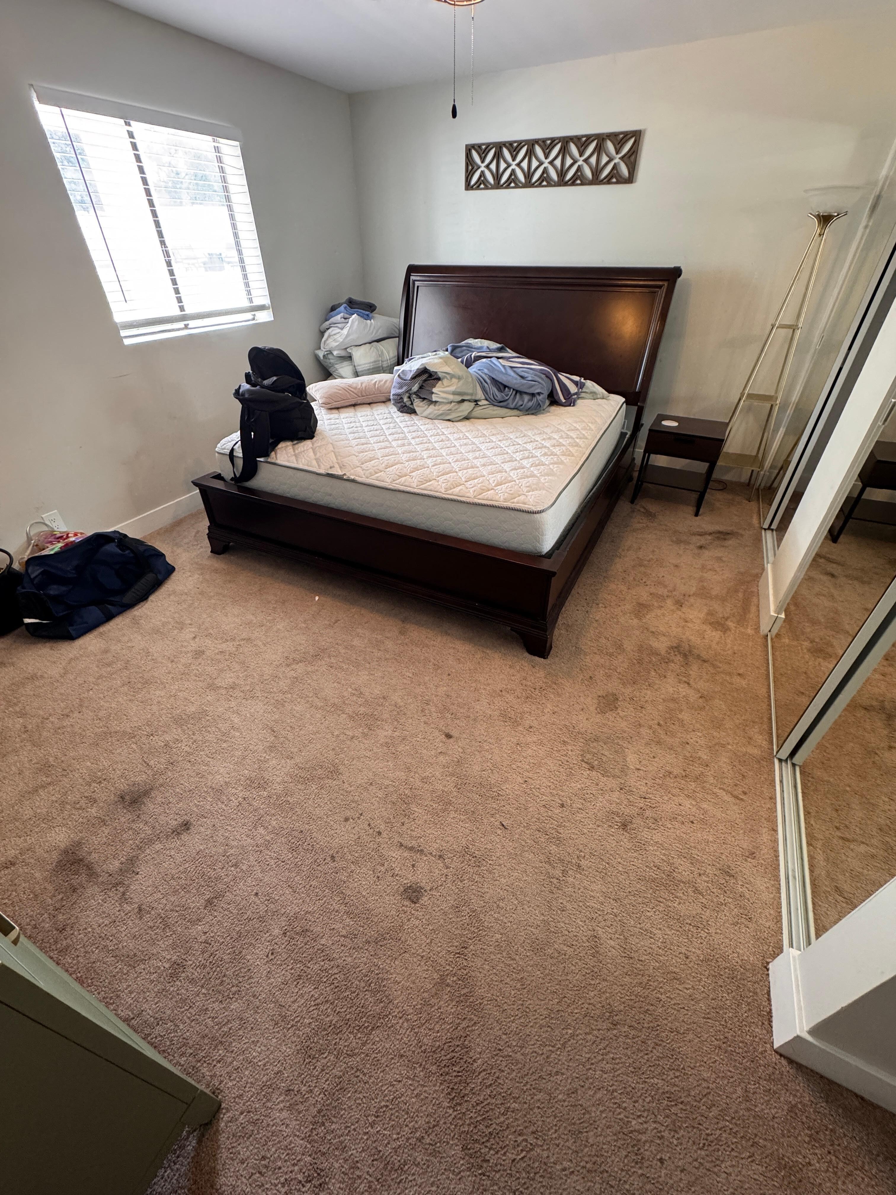 Significant carpet stains.