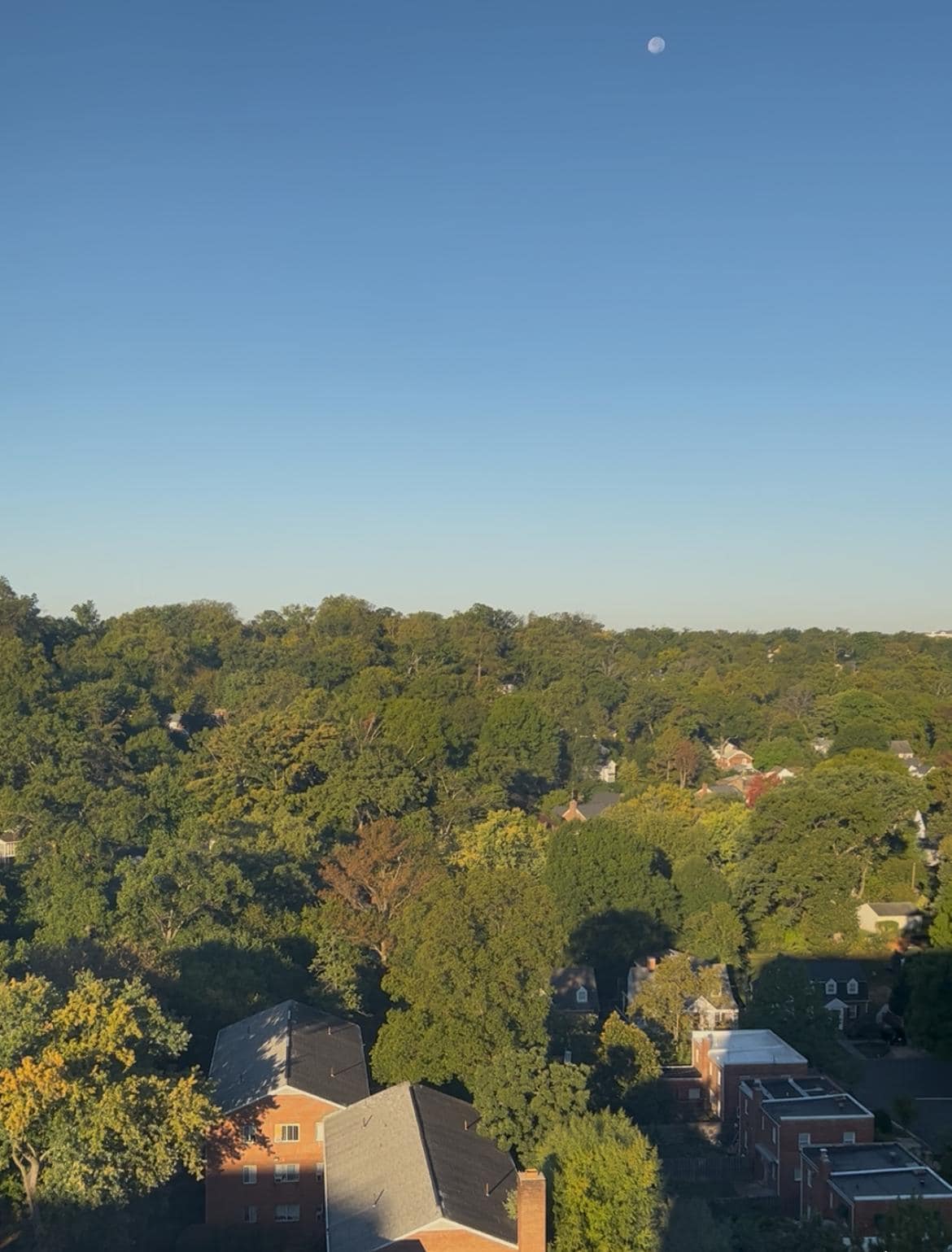 View from my window…. Pretty… the moon was visible. 
