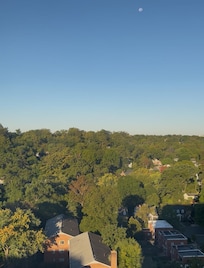 View from my window…. Pretty… the moon was visible.