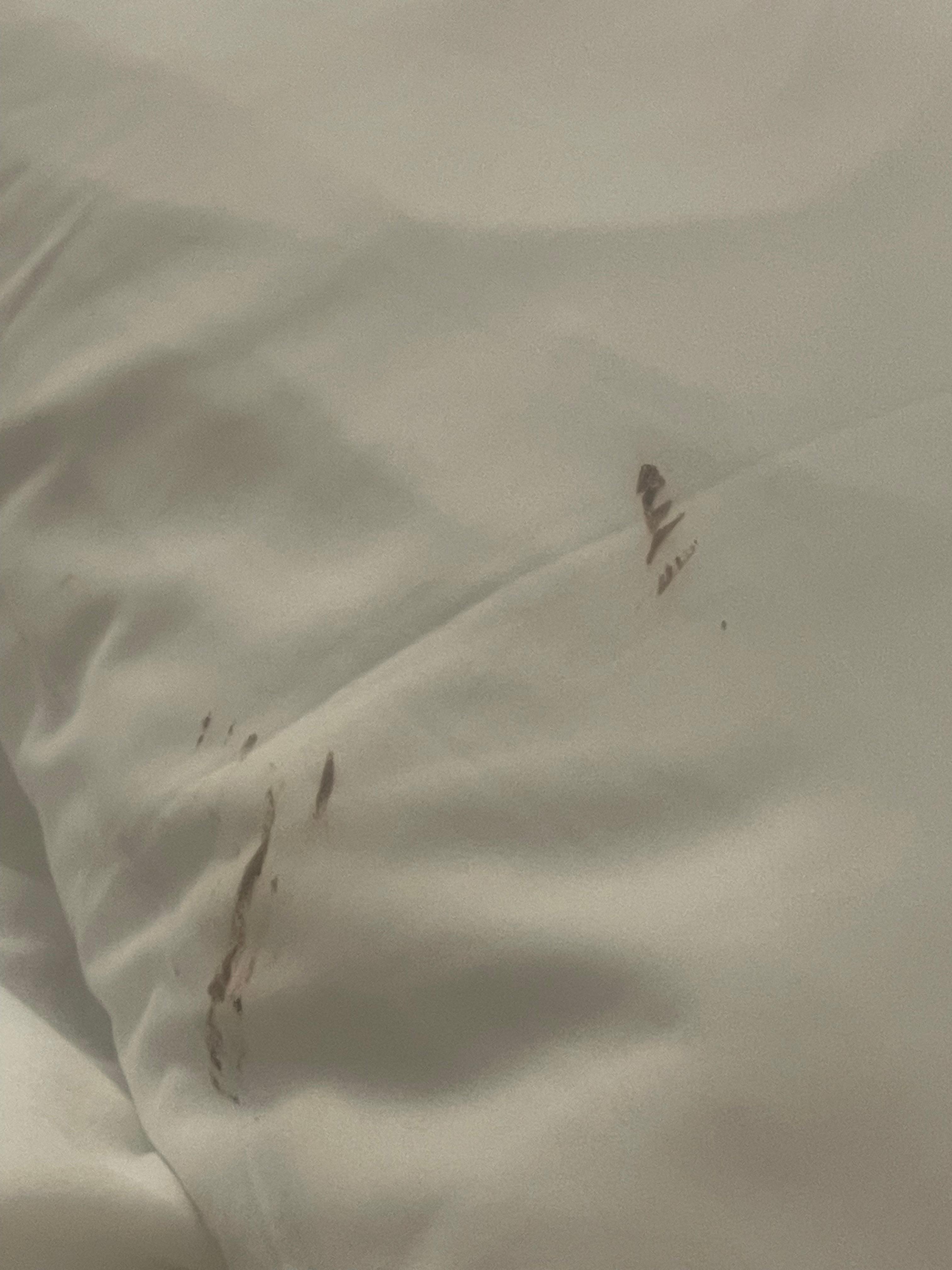 Unclean dirty sheets repeatedly applied by house keepers staff 2-4 days
Even put tag to clean room linen on door
By the way do not try to call and ask because no one is ever at the desk! 
FYI