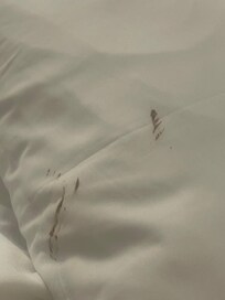 Unclean dirty sheets repeatedly applied by house keepers staff 2-4 days
Even put tag to clean room linen on door
By the way do not try to call and ask because no one is ever at the desk!
FYI