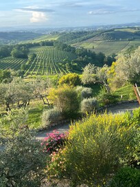 View from back window