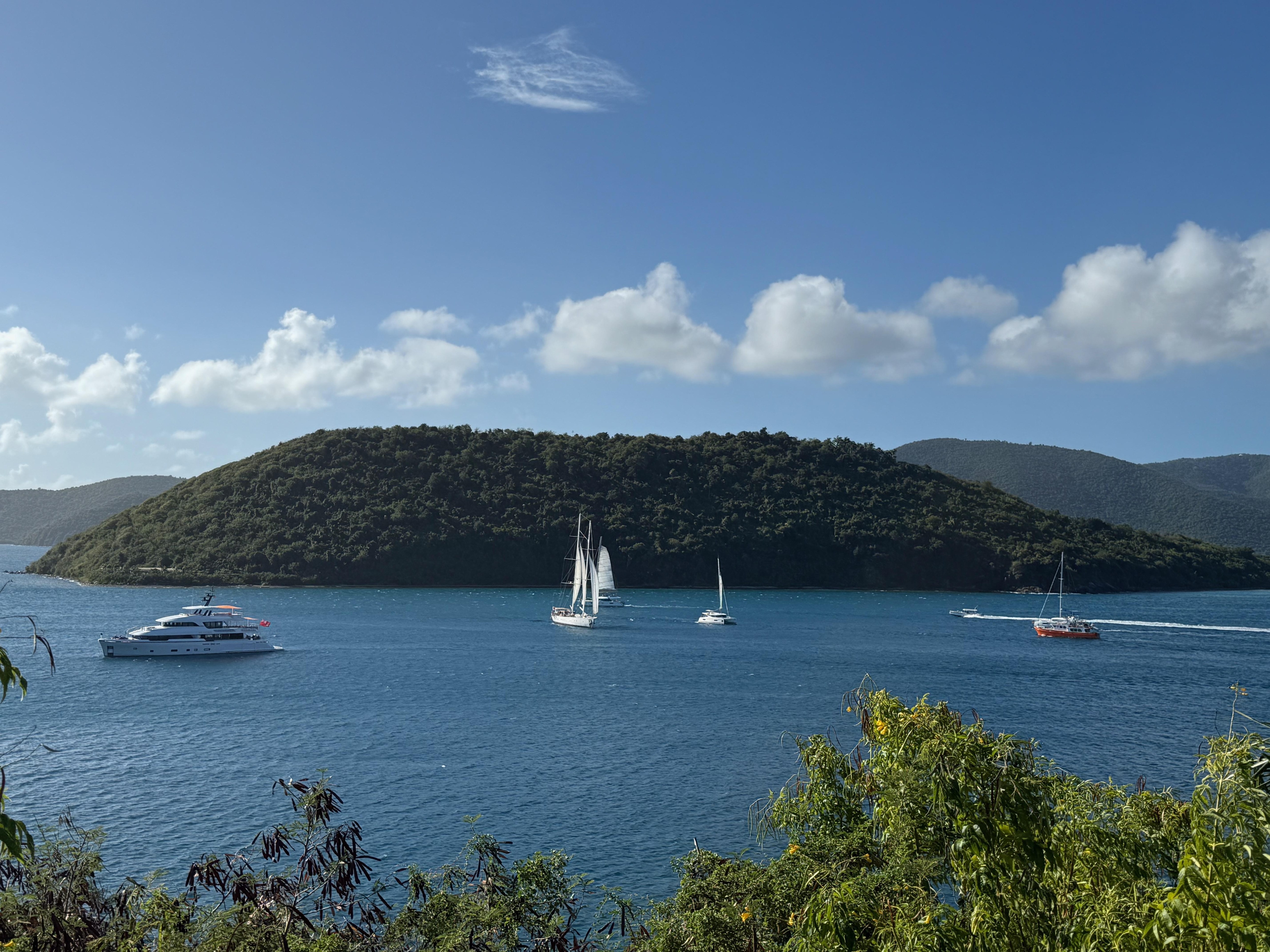 The boat activity is endless and so fun to watch