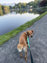 walking at Lake Tomahawk Park