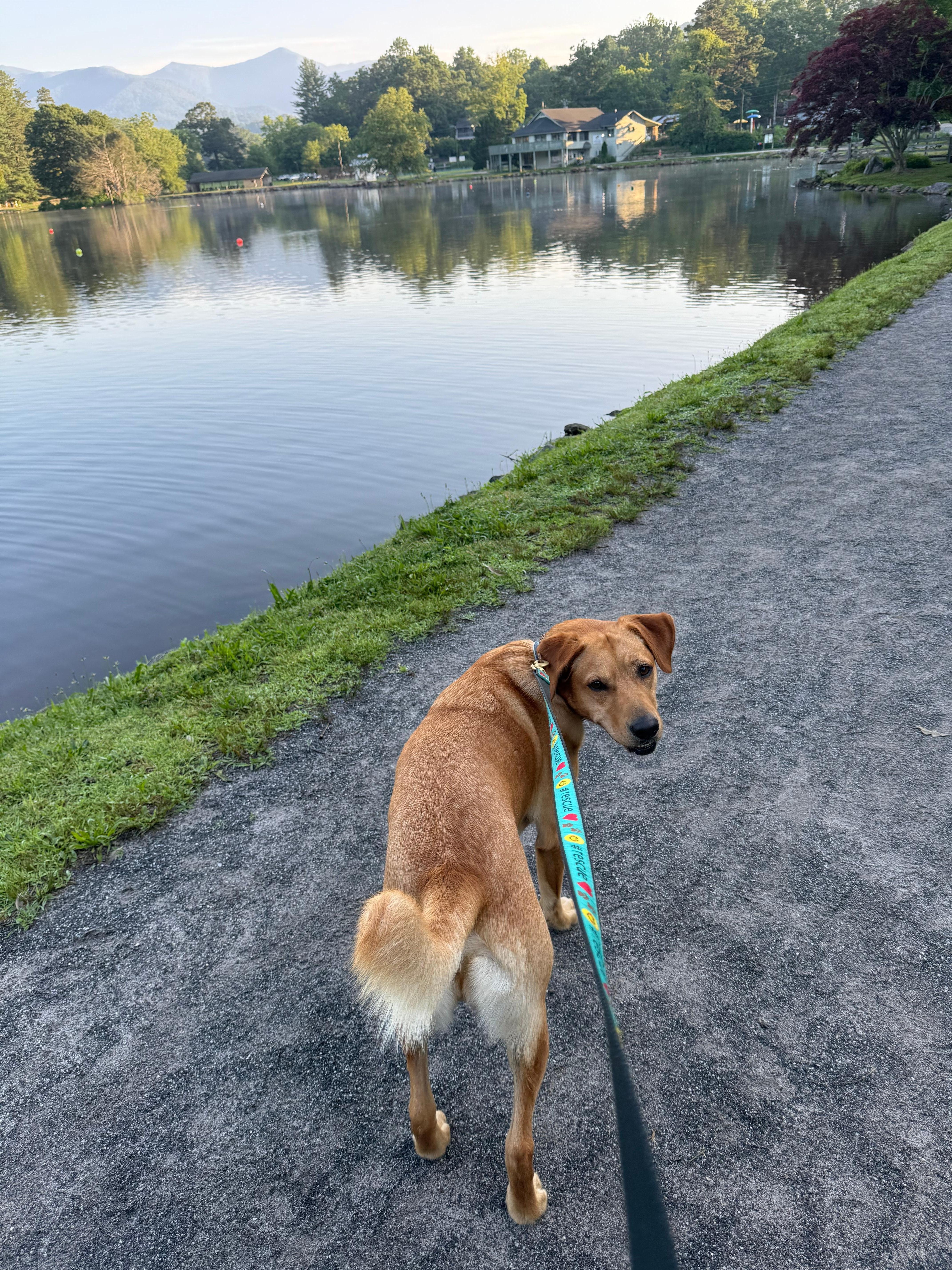 walking at Lake Tomahawk Park