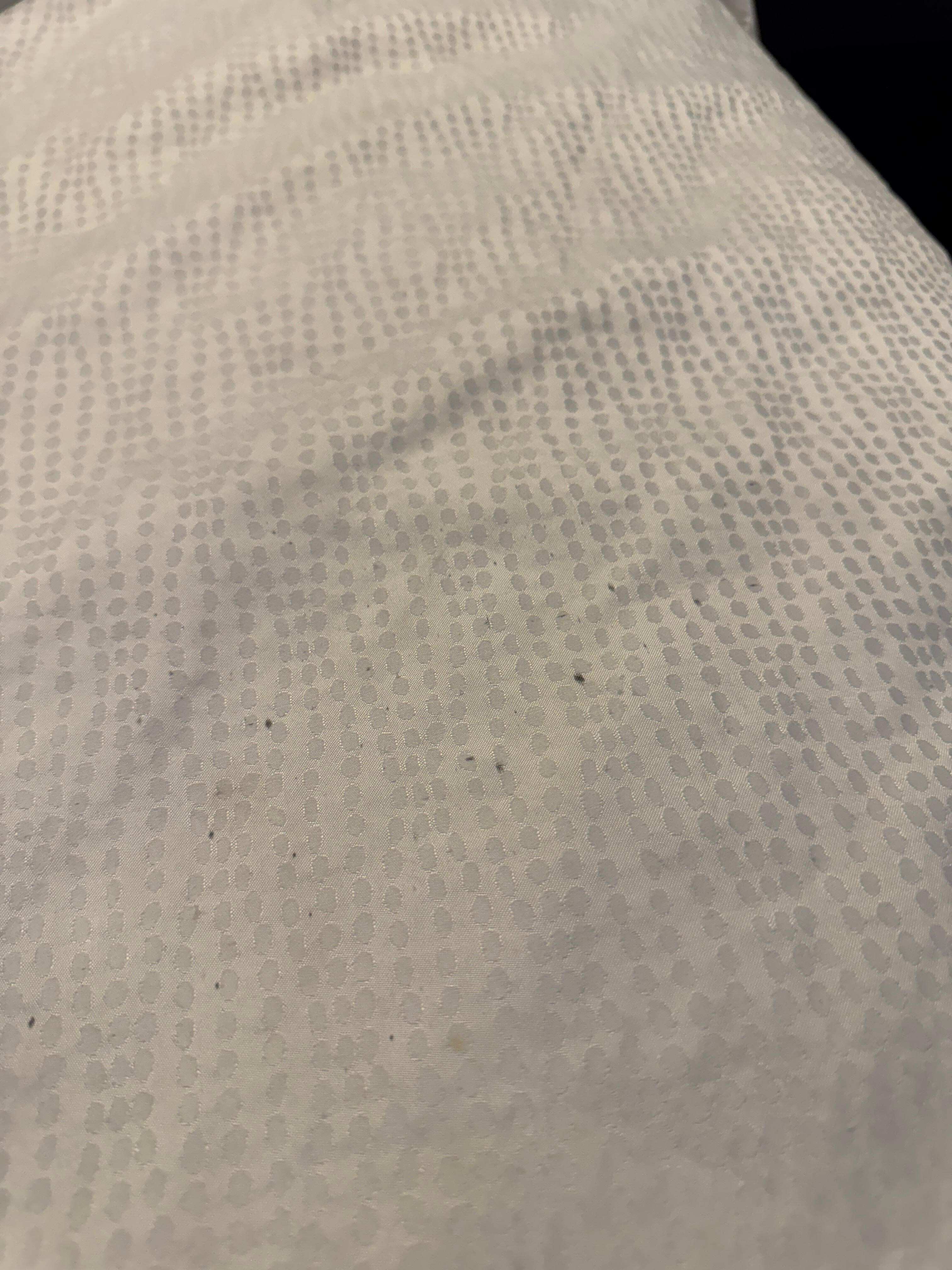 Black dots stained the comforter 