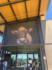 Tillamook!