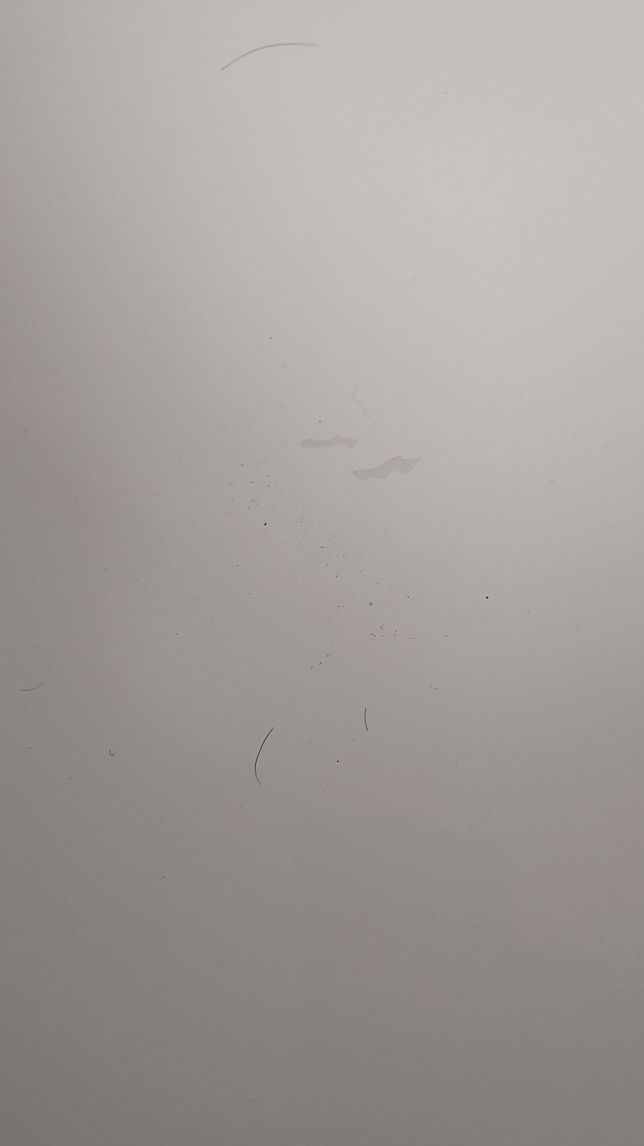 Hair & dirt in the bathtub