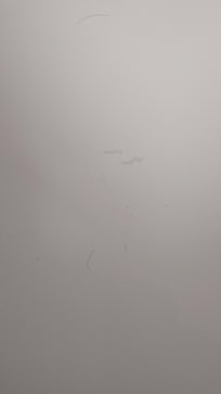 Hair & dirt in the bathtub