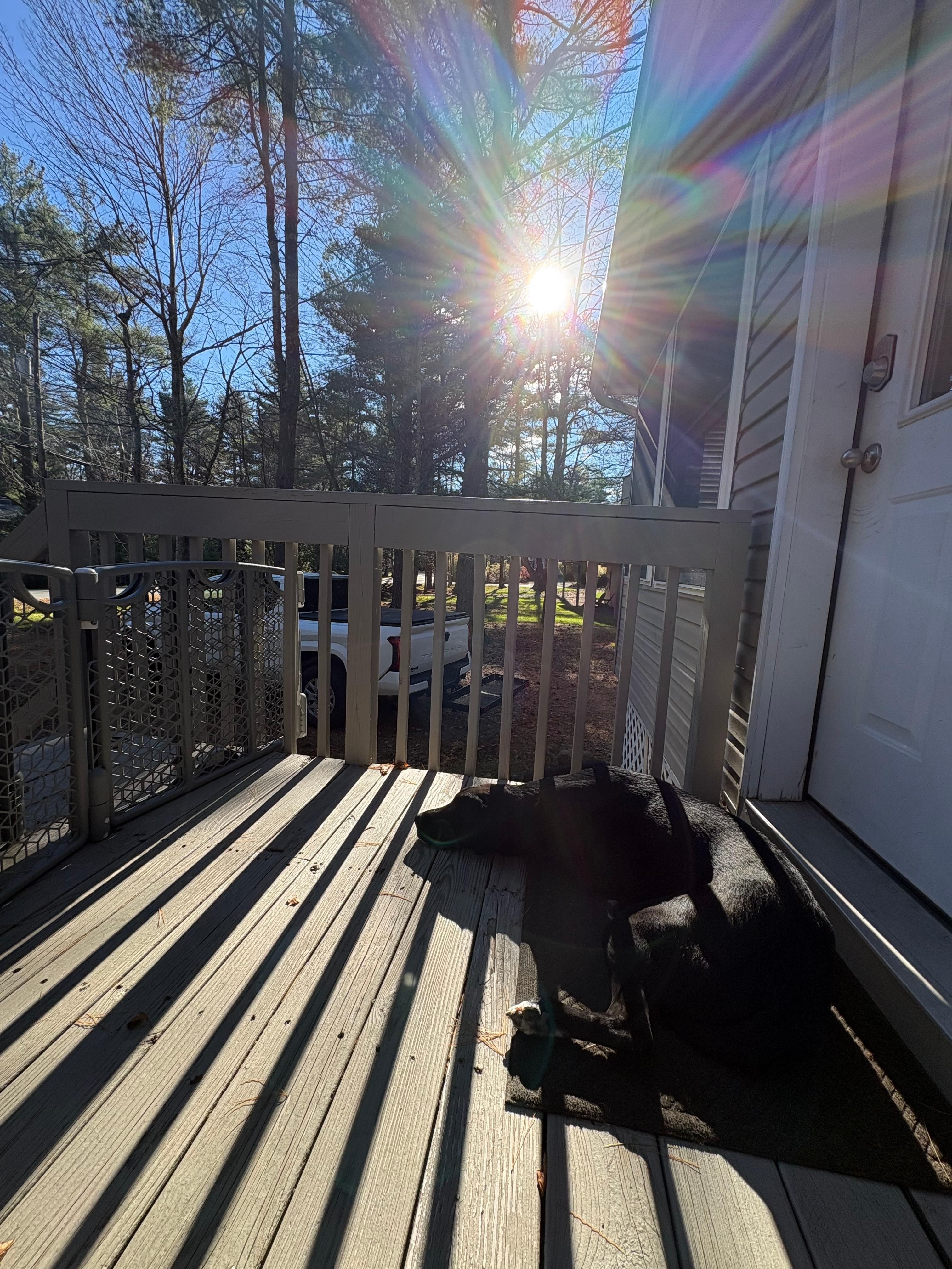 Tips I would say any pet owners, bring baby gates to block off the stairs so they can enjoy the deck:) Doom loved the sun