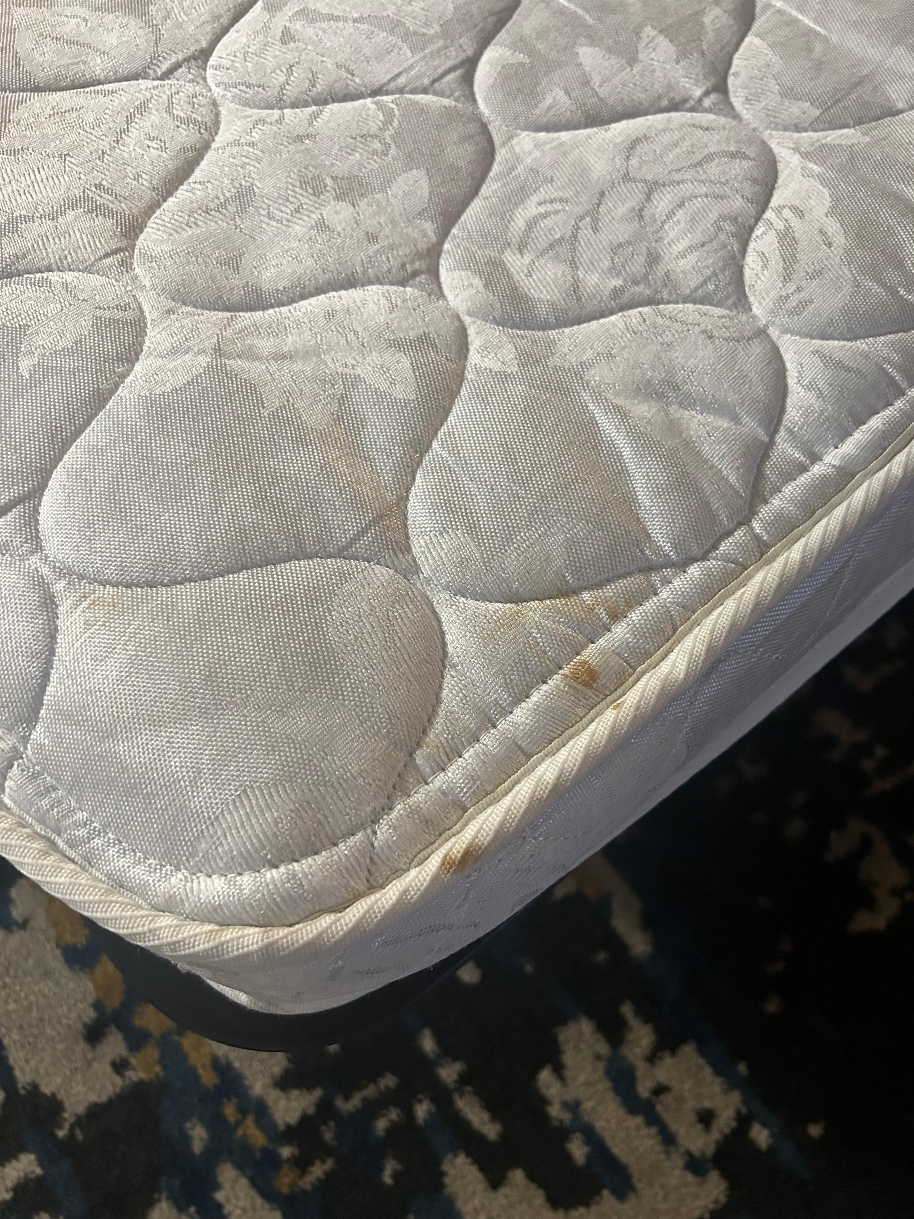 Body fluids on sofa pullout mattress