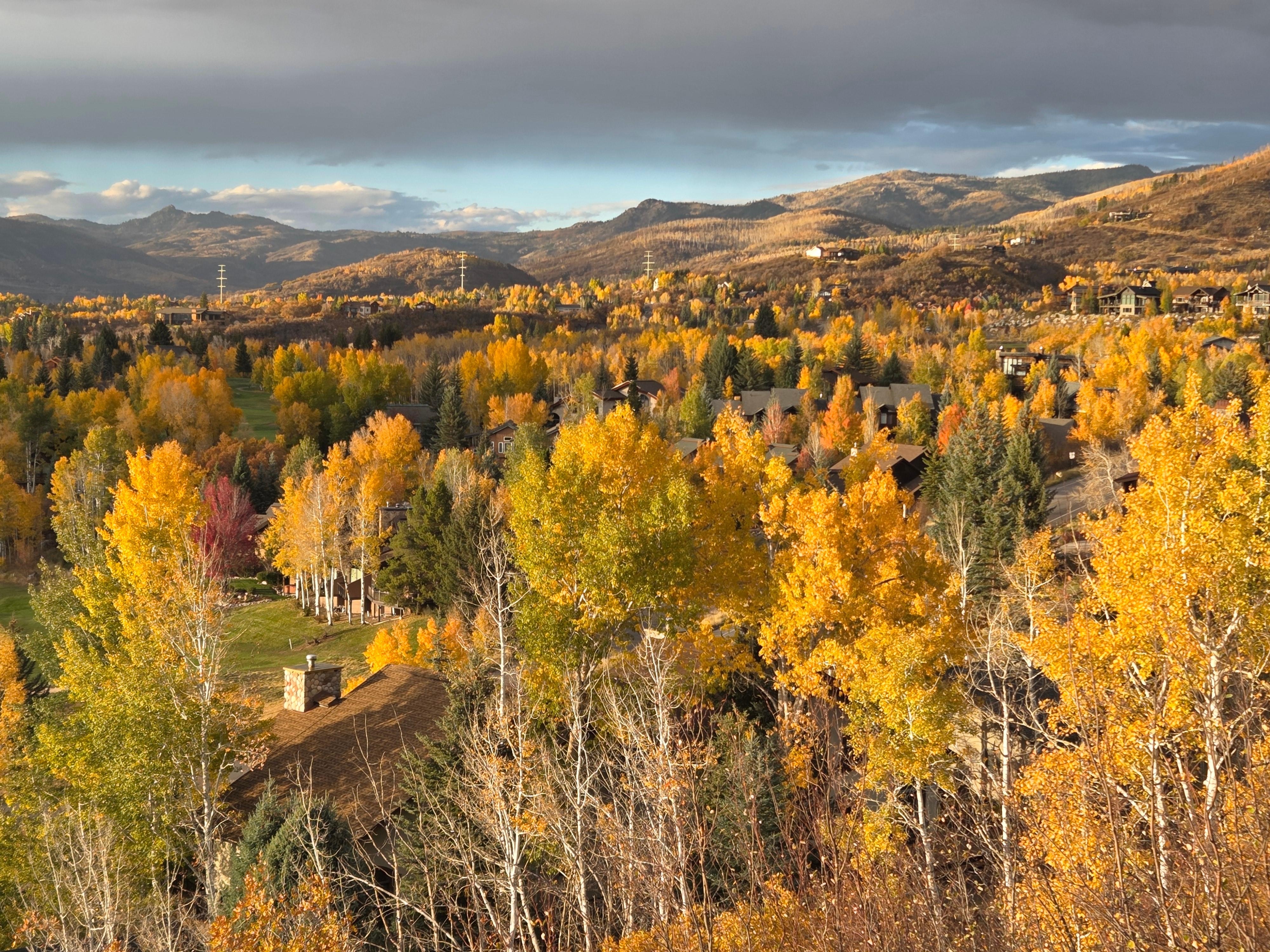 Fall view from the balcony 